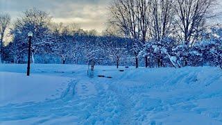 Snowy Walk in the Park | Montreal - Parc La Fontaine