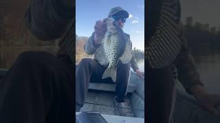 CRAPPIE Days ️ #crappiefishing #panfish #njfishing #fishing