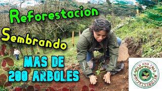 Sembramos mas de 200 Arboles Reforestando