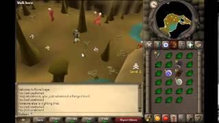 Runescape 07 | Moneymaking Guide #2 | Nadeeri | HD