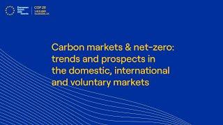 Carbon markets & net-zero: trends and prospects in the domestic, international and voluntary markets