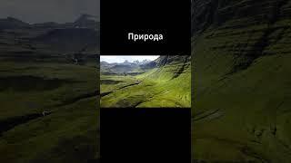 Природа 27 мая 2025 г.