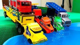 Coches y Camiones Transportadores - Carros para Niños - Colección de Juguetes Infantiles