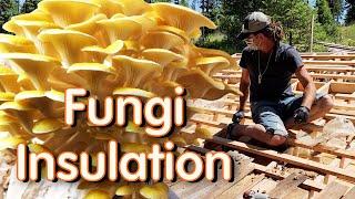 fungi insulation - build and grow