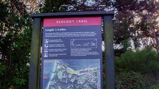 Walk, Hike & Jog On The Ecology Trail In The Presidio