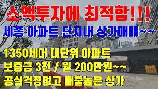 [세종상가매매] 소액투자로 최적격 / 월임대료 2백만원의 최고입지 세종상가매매