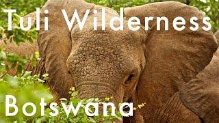 Tuli Wilderness - Botswana