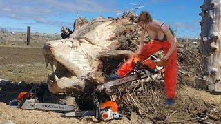 Dangerous Fastest Wood Carving Skills With Chainsaw Machines, Amazing Wood Carving Woodworking Ideas