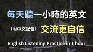 保母級聽力訓練｜學英文，從日常開始｜秒聽懂生活英語｜真實情景練習｜簡單易學的英文句子｜零基礎學英文｜提升聽力不再難｜English Listening（附中文配音）