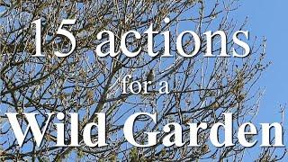 15 Actions to create a Wildlife Garden. Nature needs help. Helping nature.