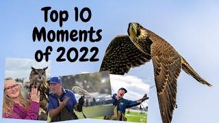 Top 10 moments of 2022 at Owl Adventures  - What is at number 1?