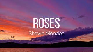 Shawn Mendes - Roses (Lyrics)