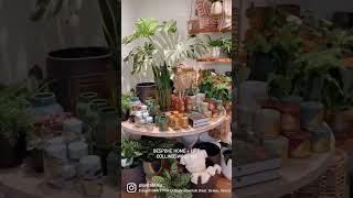 Beautiful Plant And Home Decor Store Tour - Plant Shopping - BESPOKE Home + Life