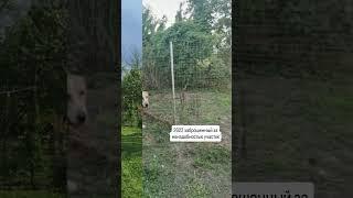 Когда собираешь такие до/после, вспоминаешь, насколько мы всё изменили. #переезднаюг #домуреки