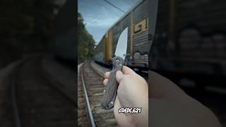 Large sebenza 31 (micarta) #knife #edc #train #outdoors #edccommunity #shorts  #youtube #cut