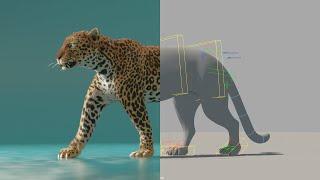 Leopard Walk Cycle - 3D Animation Breakdown