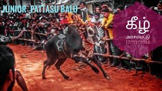 junior pattasu balu  கீழ் அரசம்பட்டு 17/1/2022#vellore #bullrace #pattasubalu #jallikattu #தமிழ்