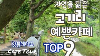 [용인고기리 카페투어9 Vlog] 카페탐방   핫플레이스 카페 Top 9  자연을 품은 예쁜카페들을 소개합니다 보기만 해도 저절로 힐링되요~^^#고기리카페