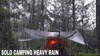 Very Long Heavy Rain in a tropical forest‼️Solo  Camping in Heavy Rain‼️