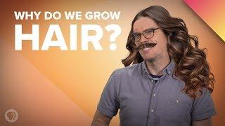 Why Does Hair Grow The Way It Does?