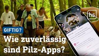 Pilze bestimmen mit Apps: Werden die giftigen erkannt? | hessenschau