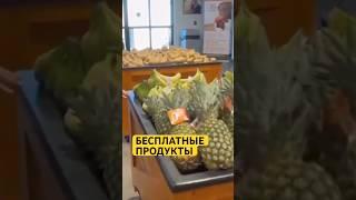 Продукты на халяву. Бесплатная еда в США. Новая точка в Техасе #новостисша #сша #новости