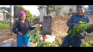 PILIPINA in NEPAL LIFE in the village | Ang laki nang radish na gagawing singing nila