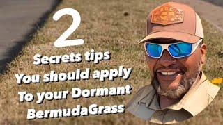 2 secrets I would apply to my Dormant Bermuda Grass for faster Green up NOW!