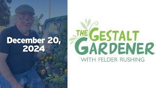 The Gestalt Gardener - December 20, 2024