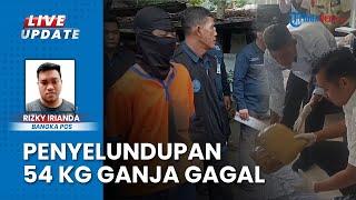 5 Orang Bawa Paket 54 Kg Ganja asal Sumut, BNNP Bangka Belitung Gagalkan Penyelundupan