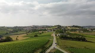 Panorami nel Monferrato - TerrEmerse - Fossile 2 - Ammoniti