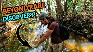 We Found Yet ANOTHER Amazing Piece of History in our Favorite Creek! Mudlarking in Georgia