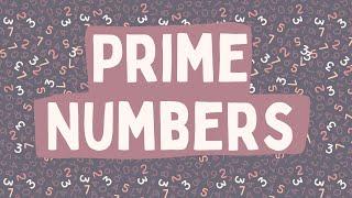 Prime Numbers Explained