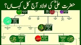 Family Tree of Hazrat Ali | The Most Influential Muslim of All Time | Part 01 | Nasheed  @calmislamicmusic