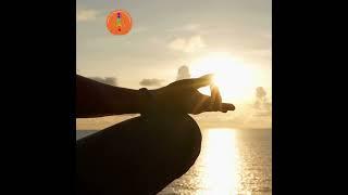 Yoga teacher training in Goa India