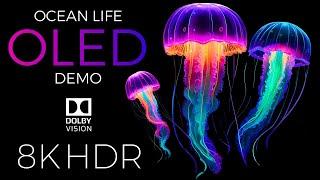 Ocean Life OLED Demo HDR 8K Ultra HD Dolby Vision™ 60fps