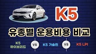 [ K5 ] 하이브리드 vs 가솔린 vs LPG / "내게 맞는 차는??"