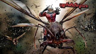 ပုရွက်ဆိတ်လူသား နဲ့ နကျယ်မ | Ant-Man and the Wasp (2018) | SMART Recaps