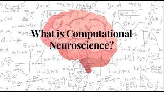 What is computational neuroscience?