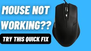 Solving Mouse Issues on Windows 11/10: A Step-by-Step Guide