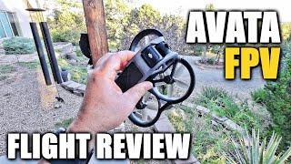 DJI AVATA Flight Test Review In-Depth (Pro-View Combo) Head Tracking, Speed, CRASHING, Pros & Cons