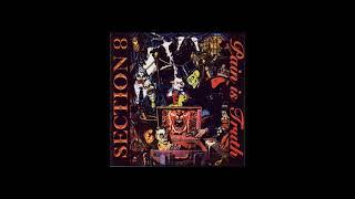 Section 8 - Pain Is Truth (Full Album) REMASTERED