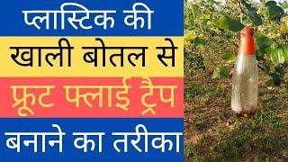 Apple ber Farming | घर पर फ्रूट फ्लाई ट्रैप कैसे बनाएं  | How to make fruit fly trap