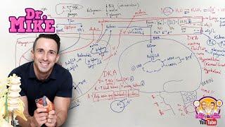 Ketogenesis & Diabetic Ketoacidosis (DKA)