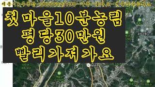 세종시첫마을10분평당30만원공주시계룡면내흥리토지그냥가져가세요