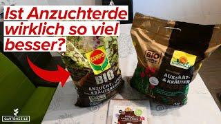 Anzuchterde vs. Kompost vs. Blumenerde ⮕ erstaunliches Ergebnis unseres Experiments!