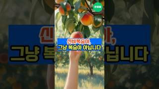 “여름에 이 과일 안 먹으면 손해입니다” #건강 #건강상식 #건강정보 #건강관리