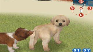 nintendogs raging and funny moments