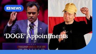 Elon Musk and Vivek Ramaswamy appointed to 'DOGE' department | ABC NEWS