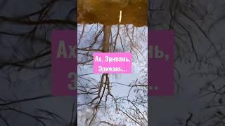 Мандельштам любил Армению #армения #мандельштам #ереван #эривань #стихи #кавказ #армянскаякультура